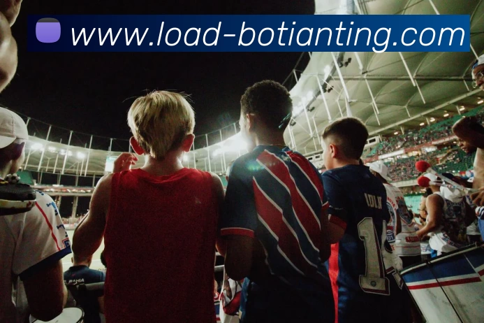 多媒体互动体验